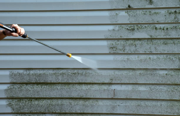 Best Animal Enclosure Cleaning  in Wayne, OH